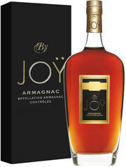 Joy Vintage, Armagnac AOC, 1993, gift box, 0.7 л