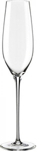 Rona, Celebration Champagne Glass, set of 6 pcs, 210 ml