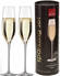 Rona, Celebration Champagne Glass, set of 2 pcs, gift tube