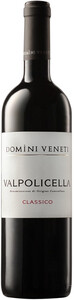Domini Veneti Valpolicella Classico DOC, 2020