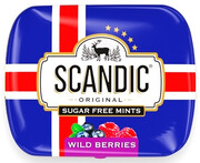 Шоколад SCANDIC Wild Berries, metal box, 18 г