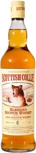 Scottish Collie, 4.5 л