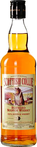 In the photo image Scottish Collie, 0.5 L