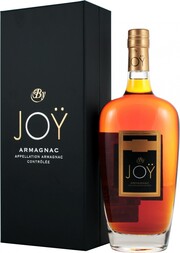 Joy Vintage, Armagnac AOC, 1988, gift box, 0.7 л