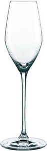 Spiegelau, Superiore Champagne Glass, Set of 12 pcs, 300 ml