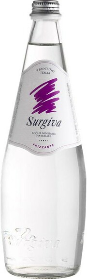 In the photo image Surgiva Sparkling Glass, 0.75 L