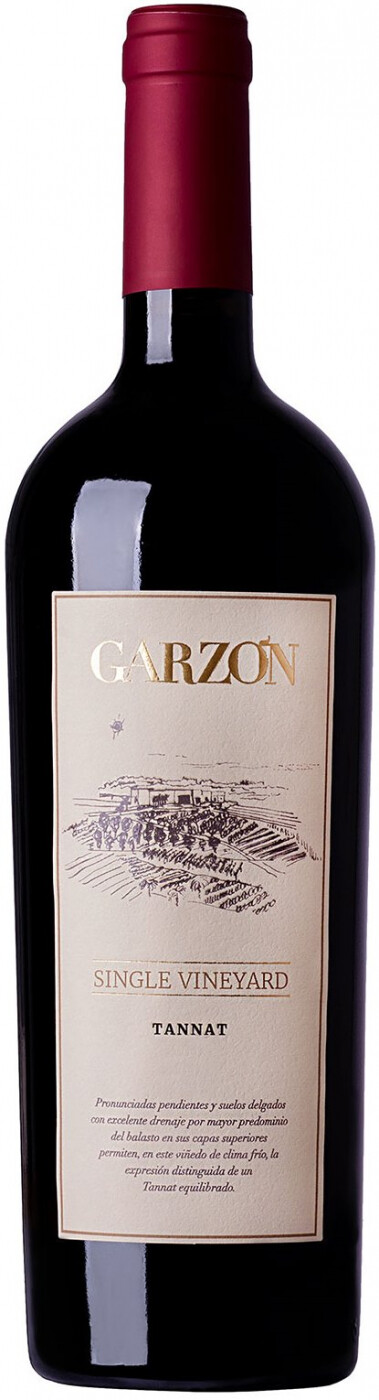 Garzon single vineyard tannat